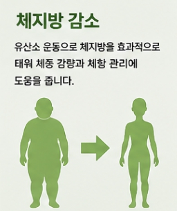 실내자전거 운동 효과
