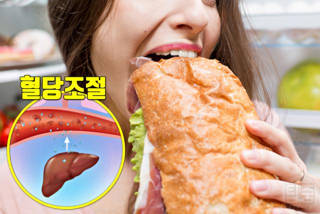 지방간 증상 비알코올성지방간 과식