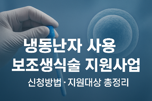 냉동난자 보조생식술