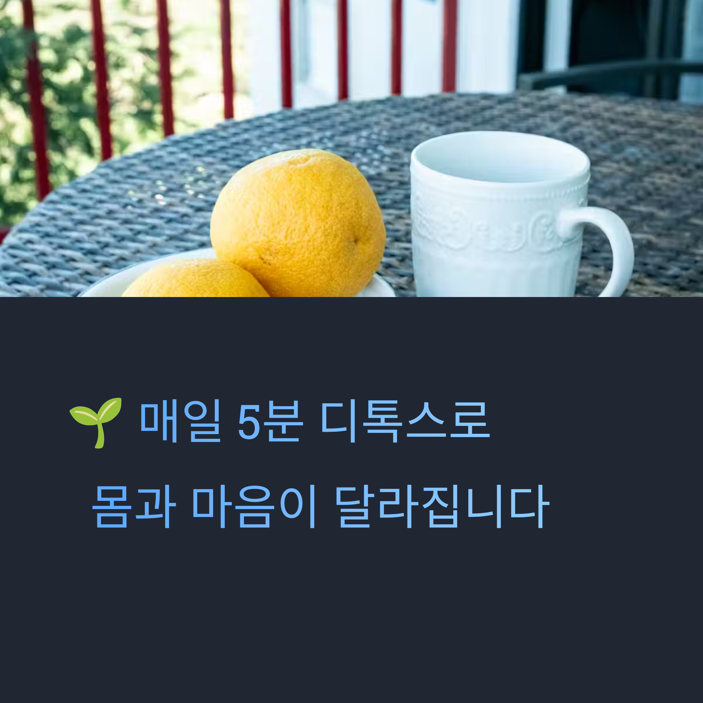 독소 배출을 돕는 디톡스 습관