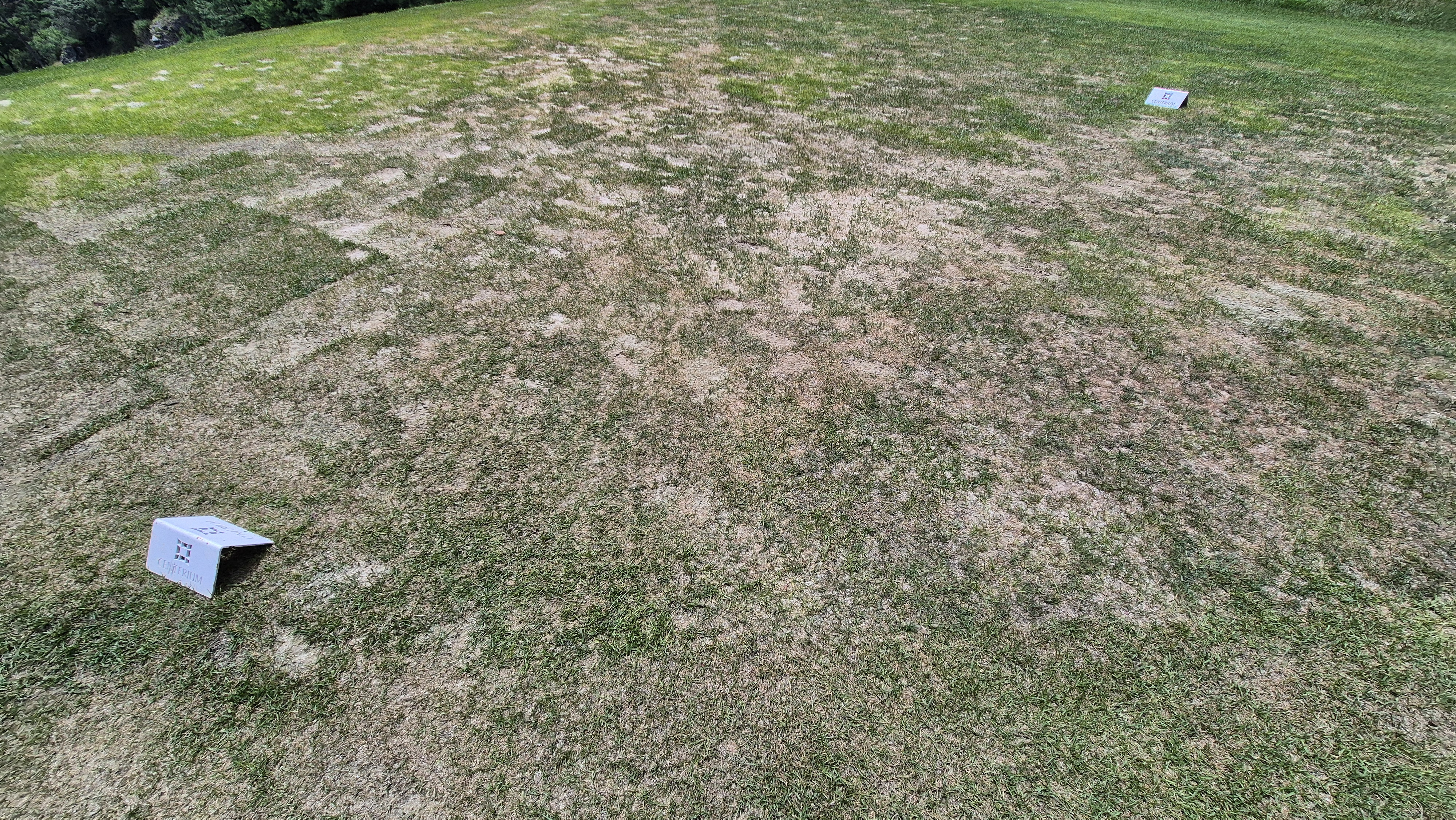 센테리움cc 스코틀랜드-웨일즈 코스 라운드 후기