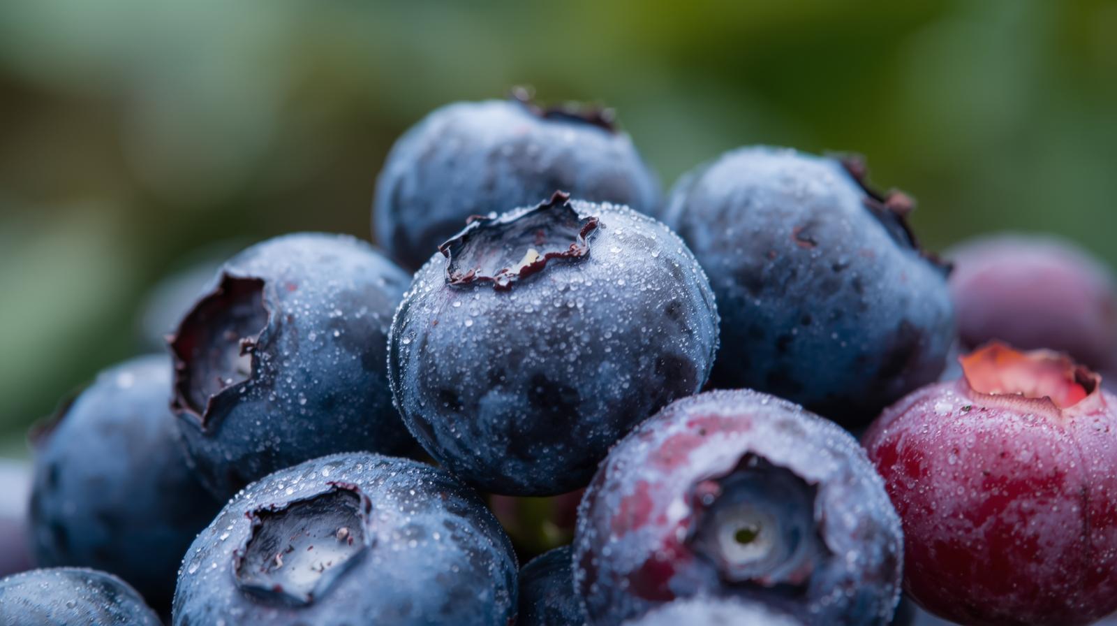 무릎에 좋은 음식