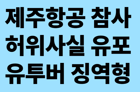 제주항공 참사 허위사실 유포