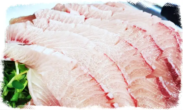 가자미 물회 맛집 추천