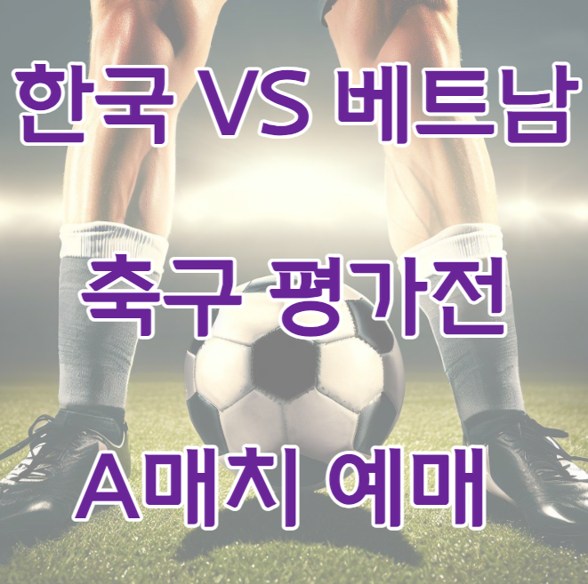 한국 베트남 축구 평가전