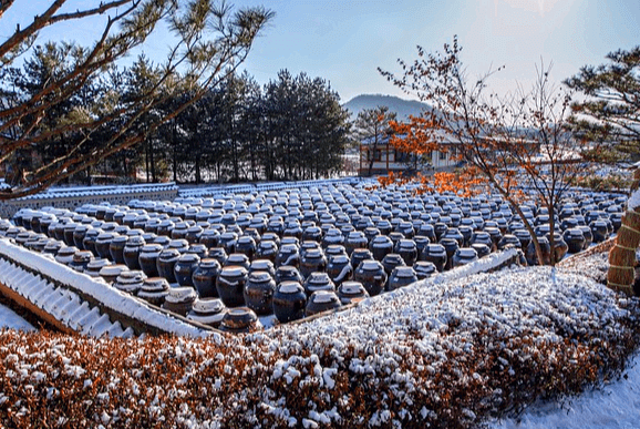 넑음 마당에 수백개의 장독대들이 가득하다. 한겨울로 장독대에는 하얀 눈이 쌓여있다.