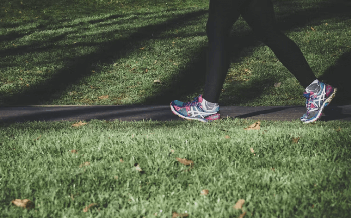 건강생활실천지원금 신청