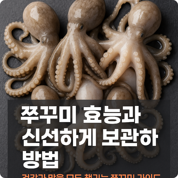 쭈꾸미 효능과 신선하게 보관하는 방법, 건강과 맛을 모두 챙기는 쭈꾸미 가이드