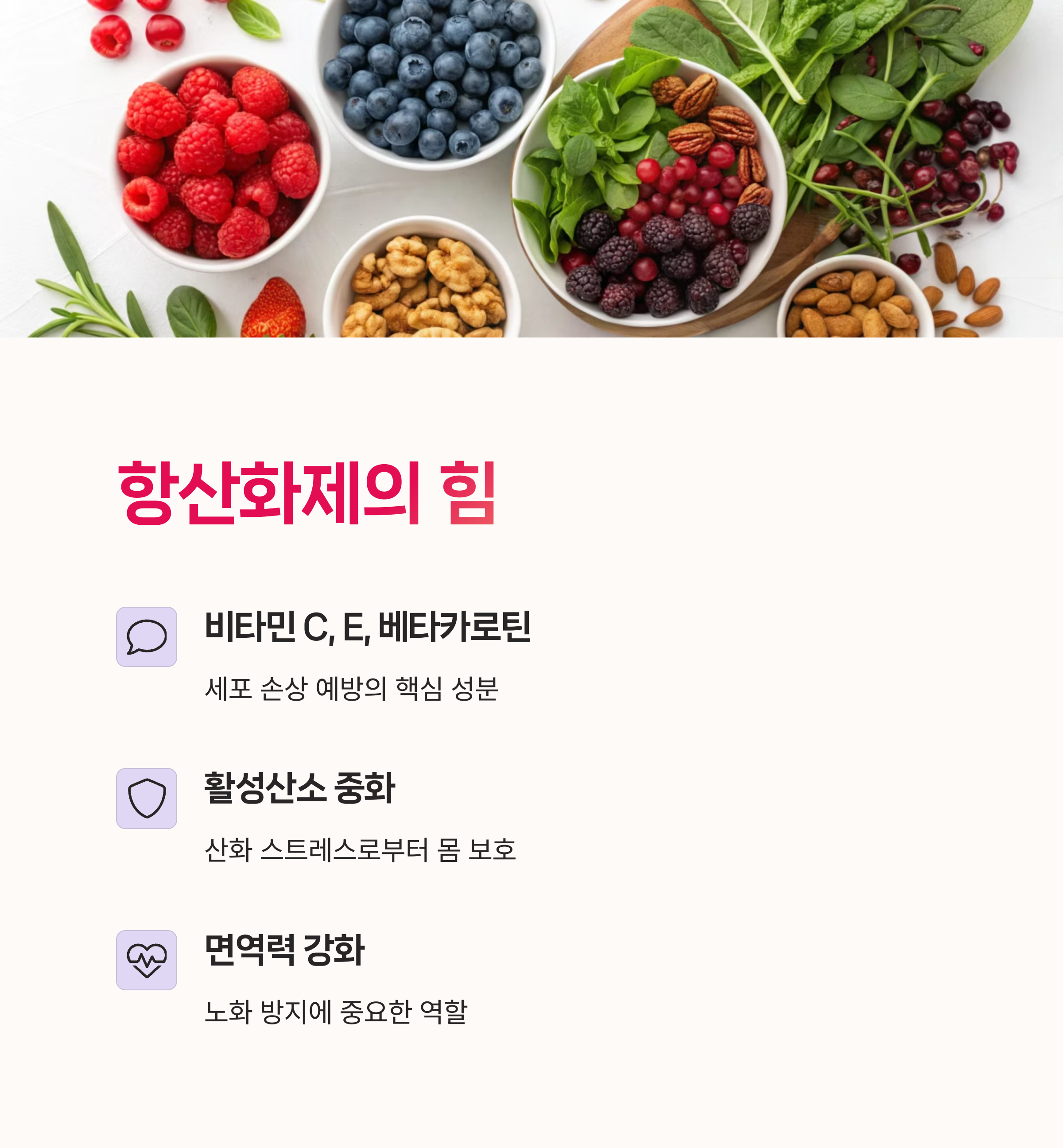 노화방지, NAD+,