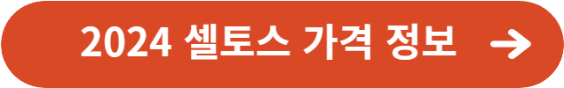 2024 셀토스 가격정보