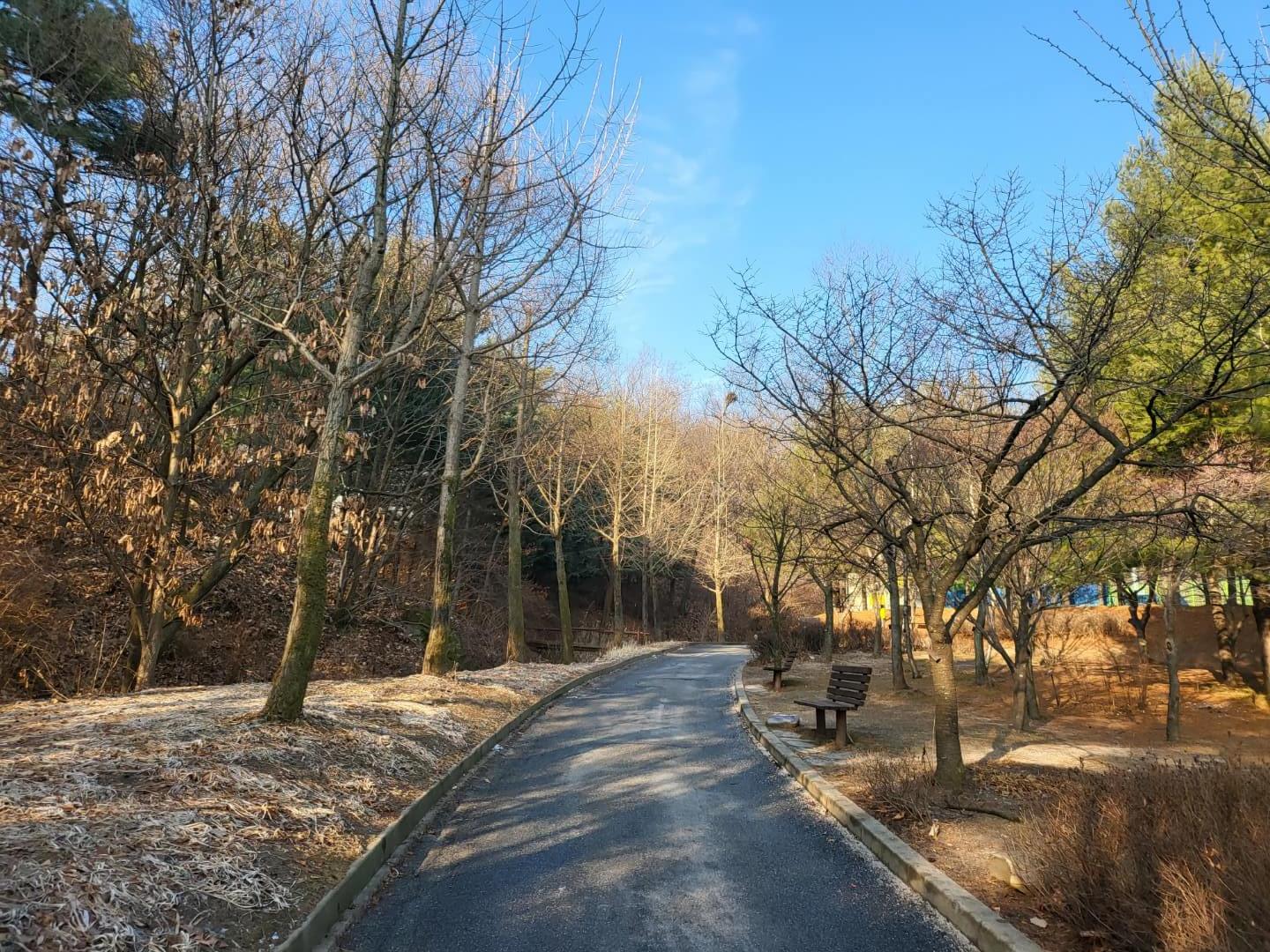등산로 초입