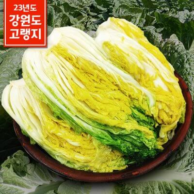  2023년 강원도 고랭지 절임배추 