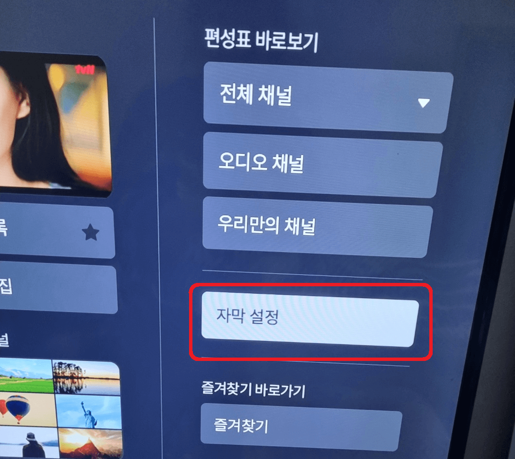 자막설정방법