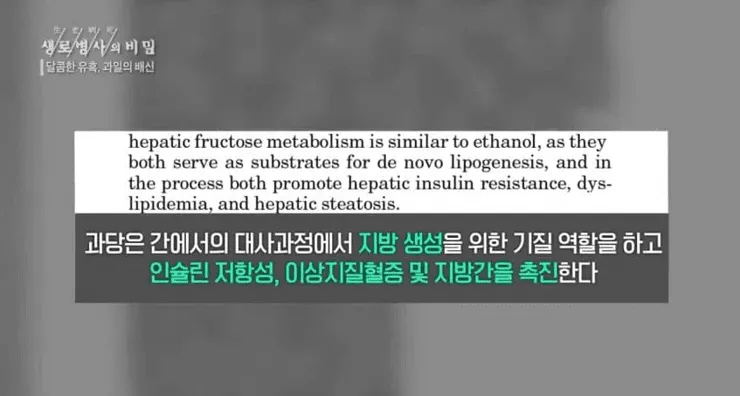 달콤한 유혹, 의외로 건강에 안 좋은 과일 - 과일의 배신 달콤한 유혹, 의외로 건강에 안 좋은 과일 - 과일의 배신