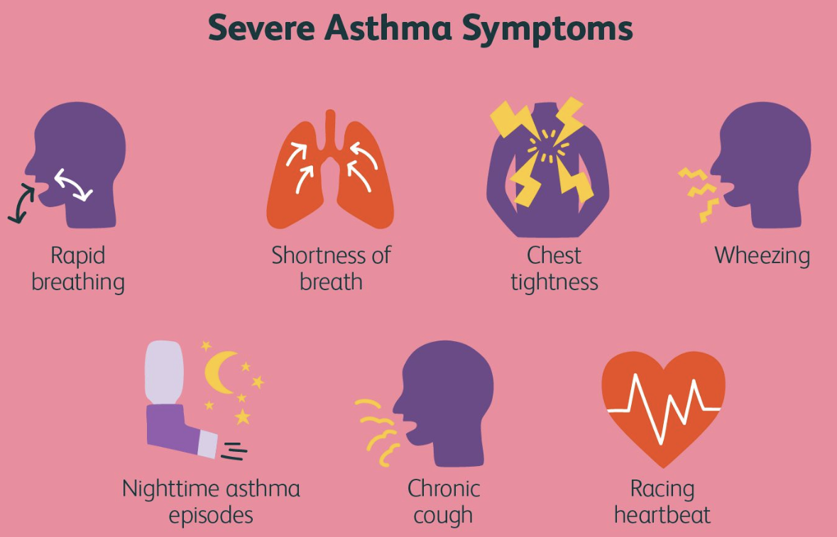 천식 증상 11가지 총정리 섬네일