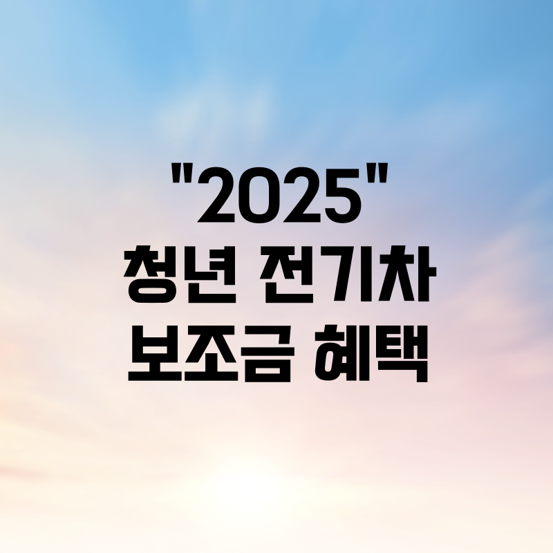 2025 청년 전기차 보조금 혜택