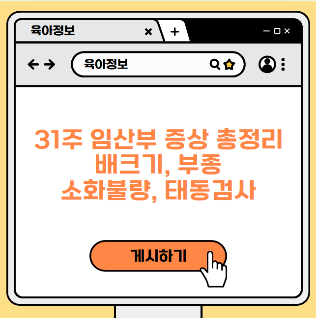 31주 임산부 증상 총정리(배크기, 부종, 소화불량, 태동검사)