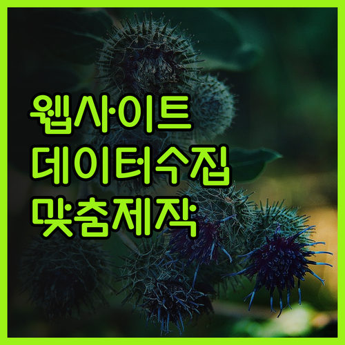웹사이트 데이터 수집 프로그램, 맞춤