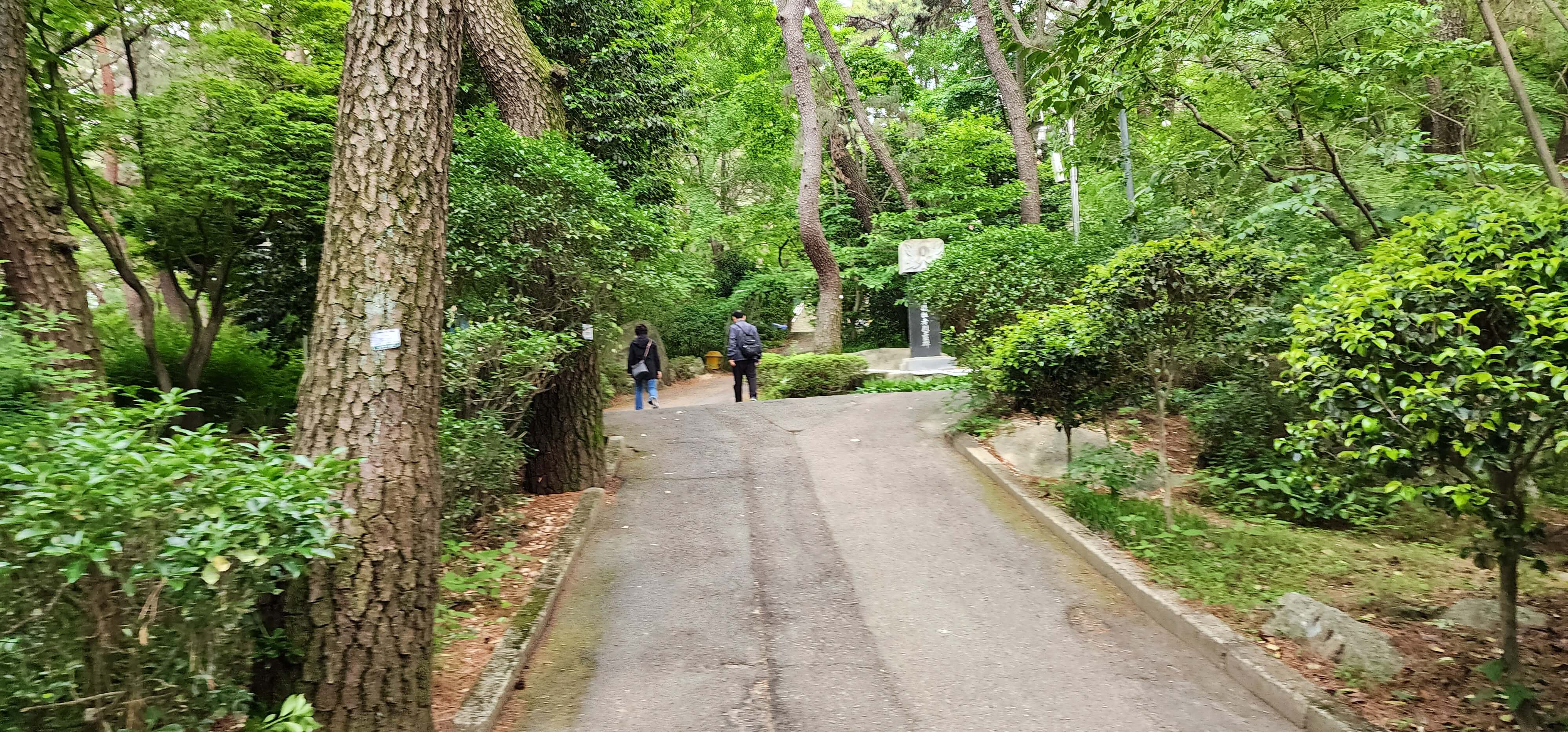 금정산 등산코스 케이블카 이용 초보코스4