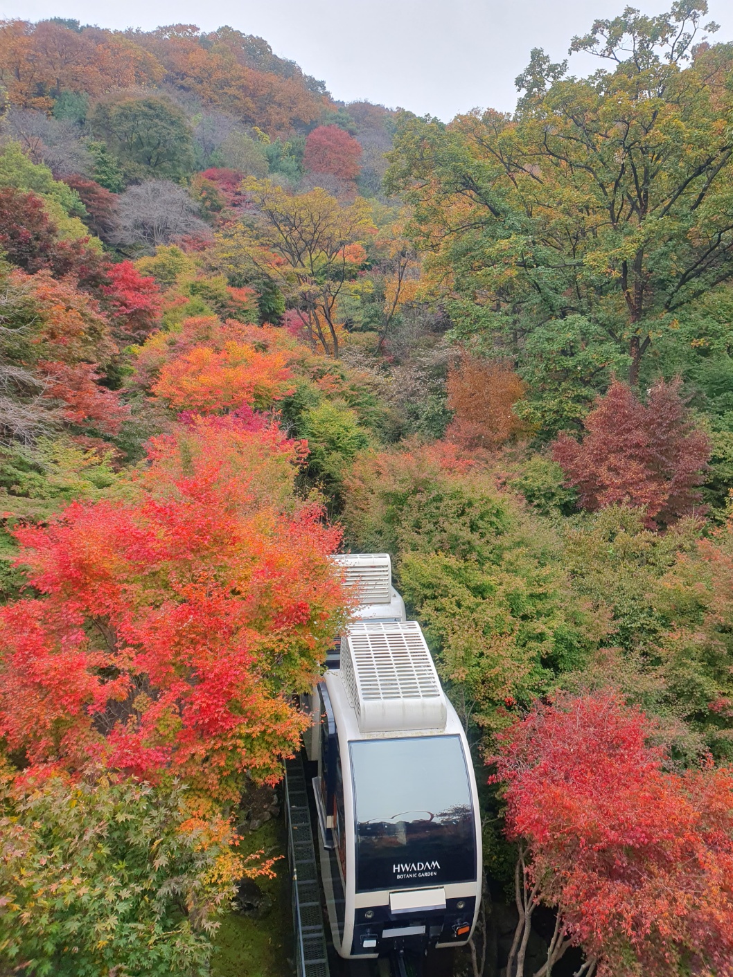 화담숲모노레일