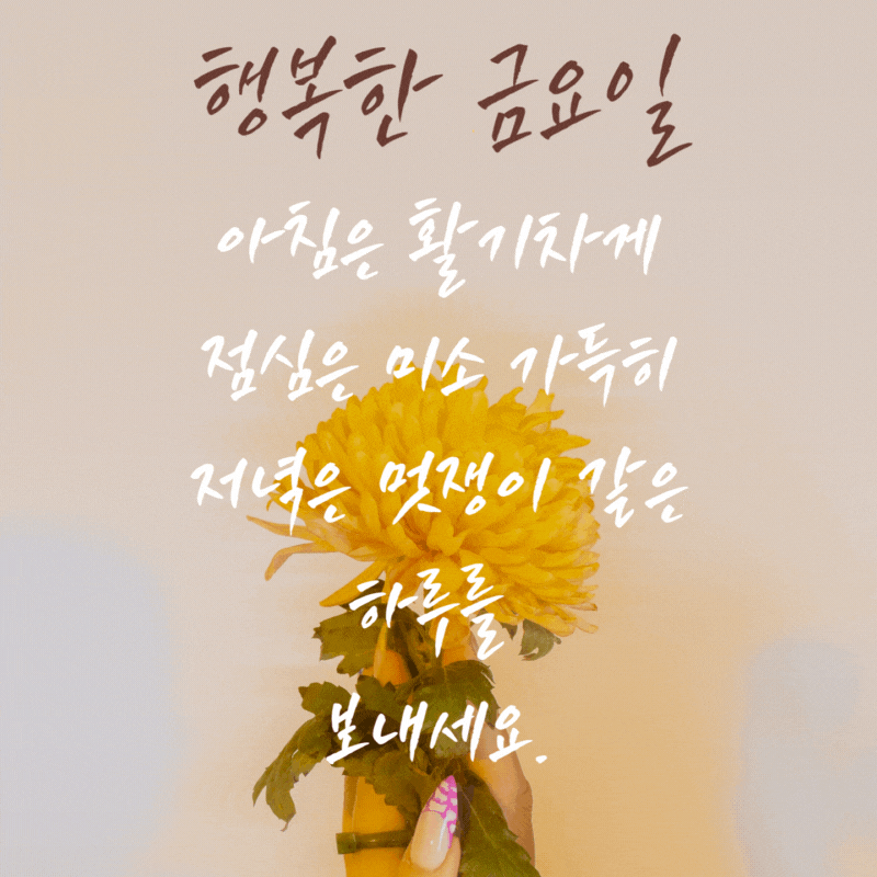 금요일 아침 인사말 모음 이미지