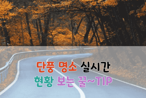 가을 단풍