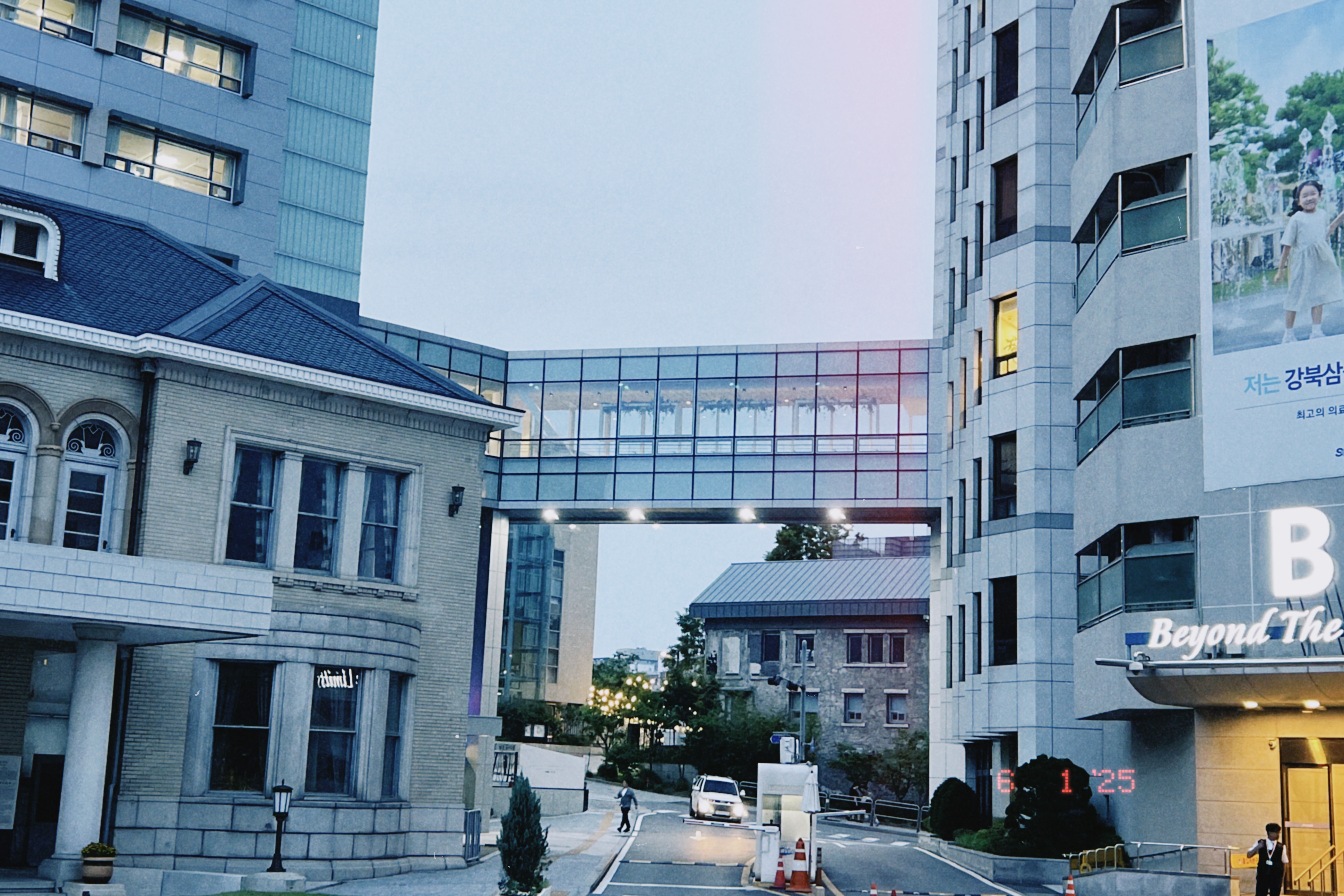 평범함이 그리웠던 날