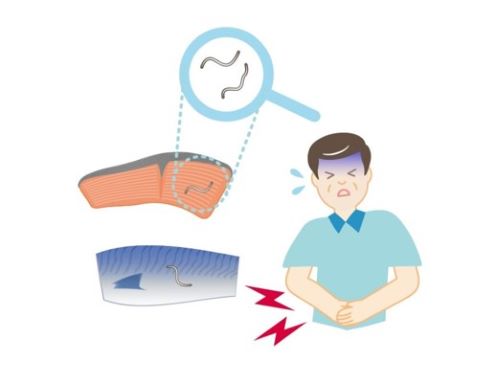 장염 비브리오균 식중독 일러스트 이미지