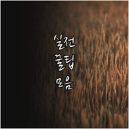 농업재해 2025 복구비 보조금 융자..