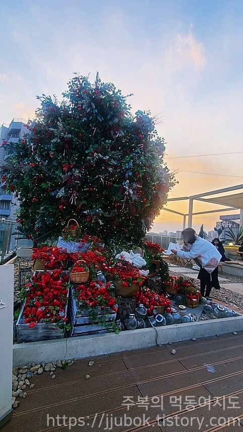 구읍뱃터-바다앞테라스-루프탑-포토존-2