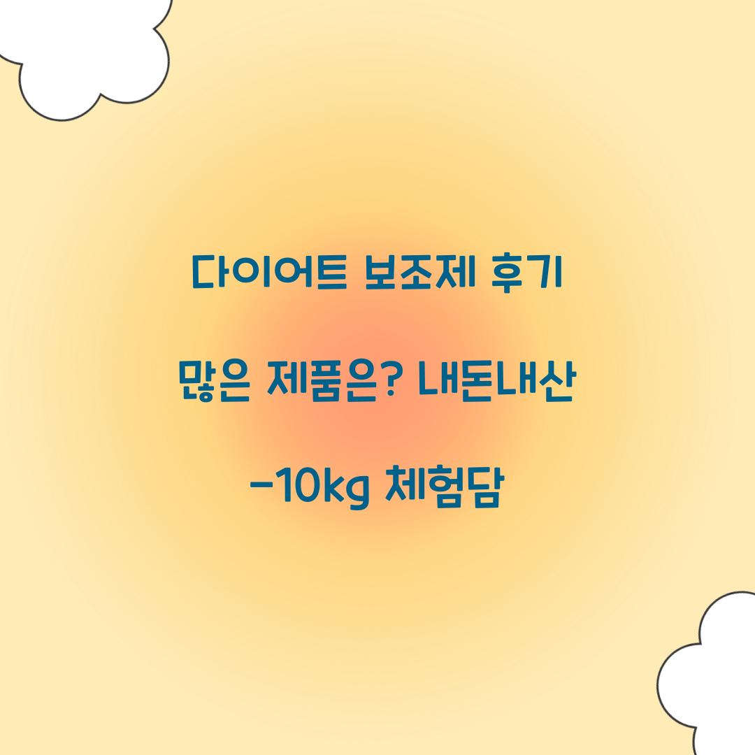 다이어트 보조제 후기 많은 제품은?