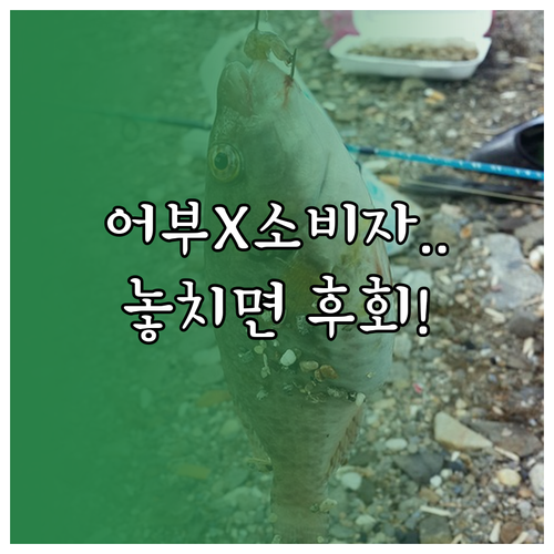 어업인과 소비자 상생, 2025 수산..