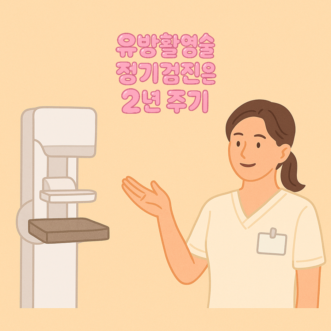 유방촬영술은 얼마나 자주 받아야 하나요?