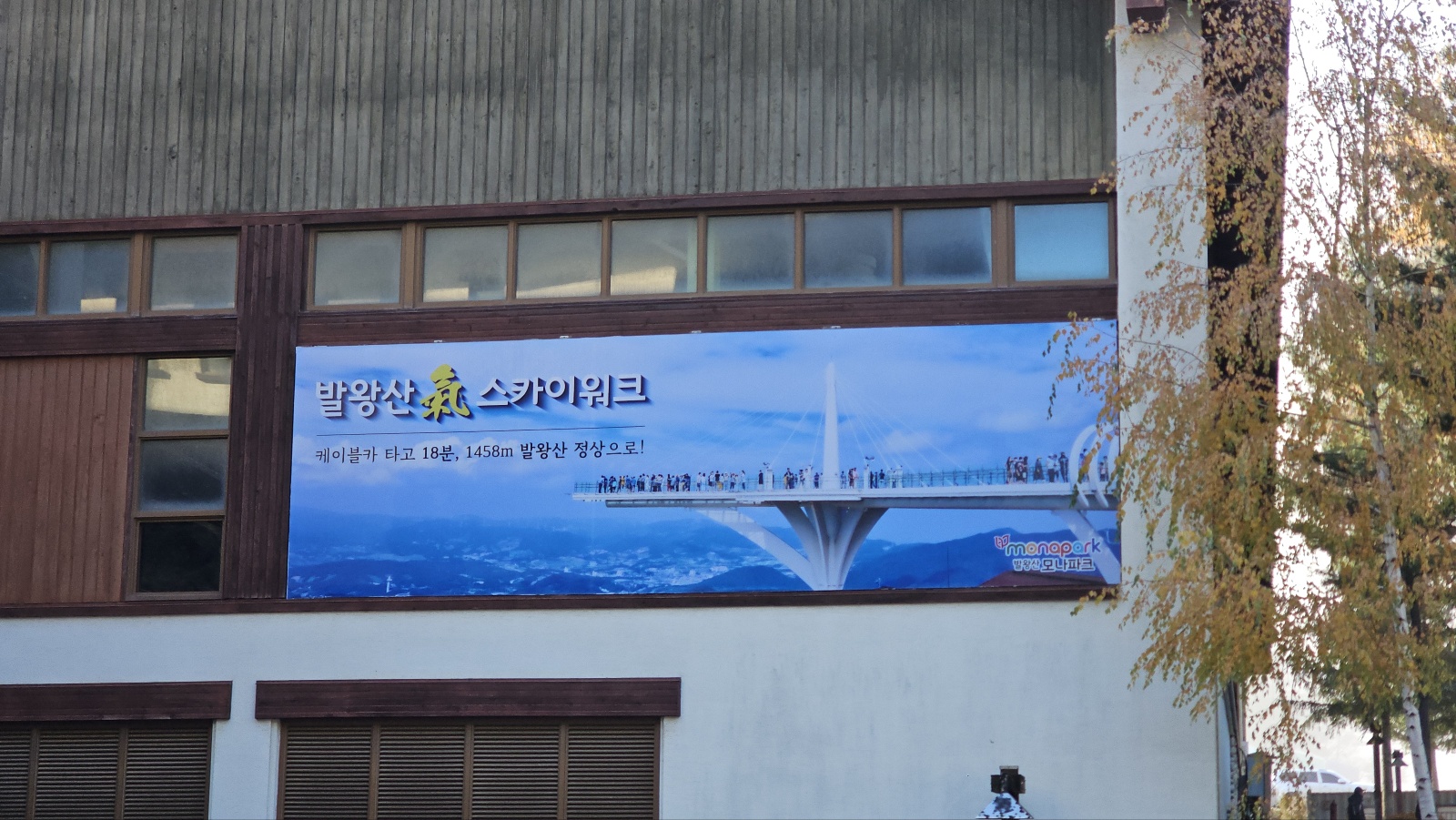 [발왕산 케이블카]