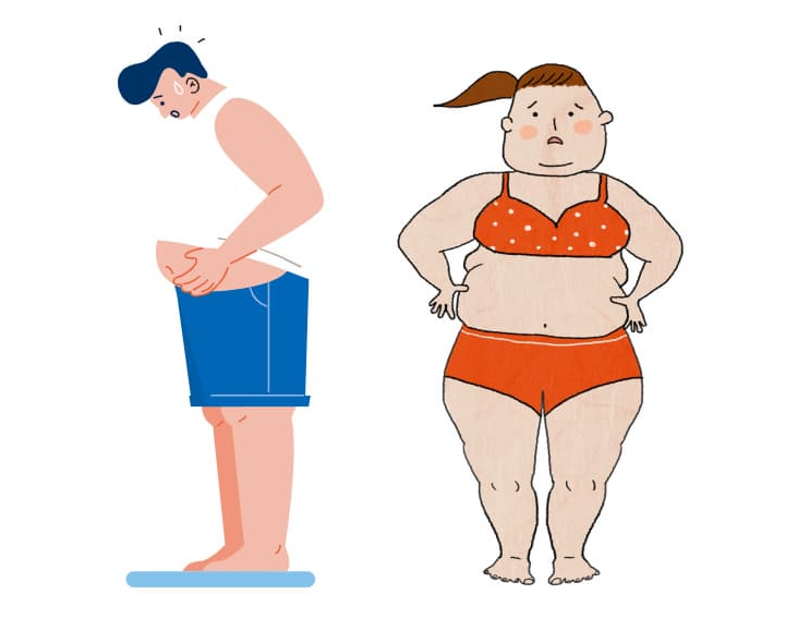 내장지방과 뇌 노화의 깊은 연관성