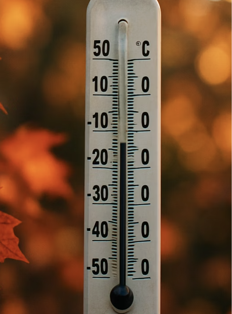 겨울잠 재우기&amp;#44; 최적의 타이밍