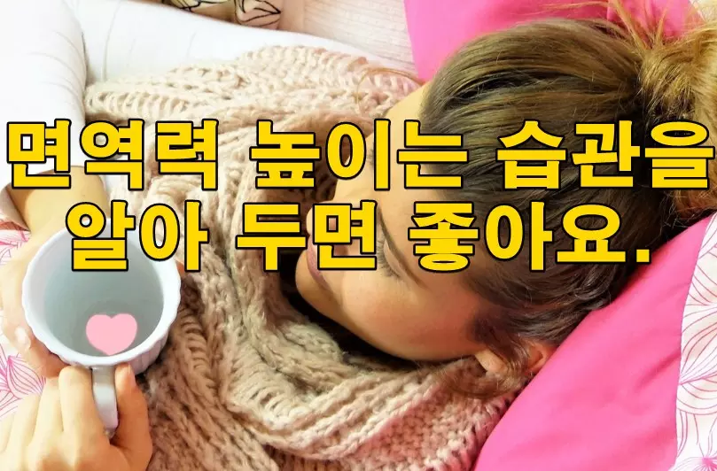 면역력 높이는 습관