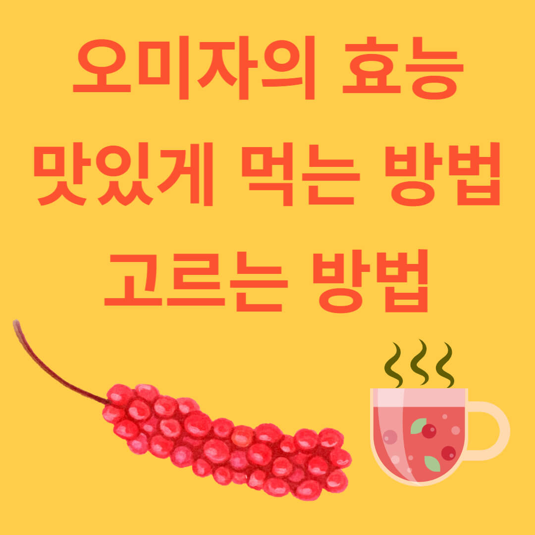 다섯 가지 맛 오미자의 효능과 맛있게 먹는법&#44; 선택 방법