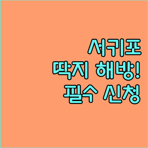 서귀포 주정차 단속 알림 서비스 신청..
