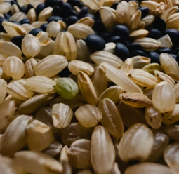 통풍에 좋은 음식 영양제 식단