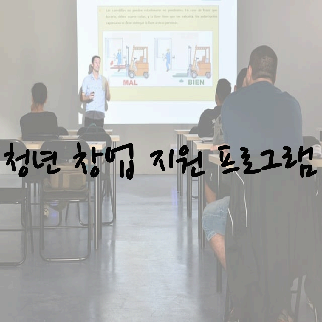 청년 창업 지원 프로그램, 2025년 정부 지원으로 현실적 창업 길을 찾는 방법