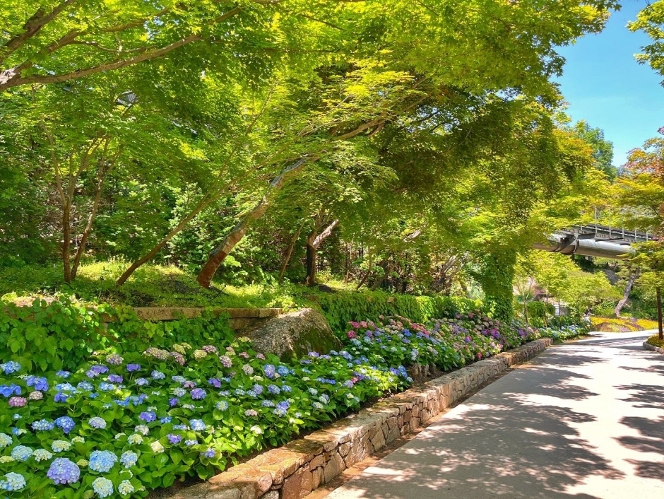 광주 화담숲