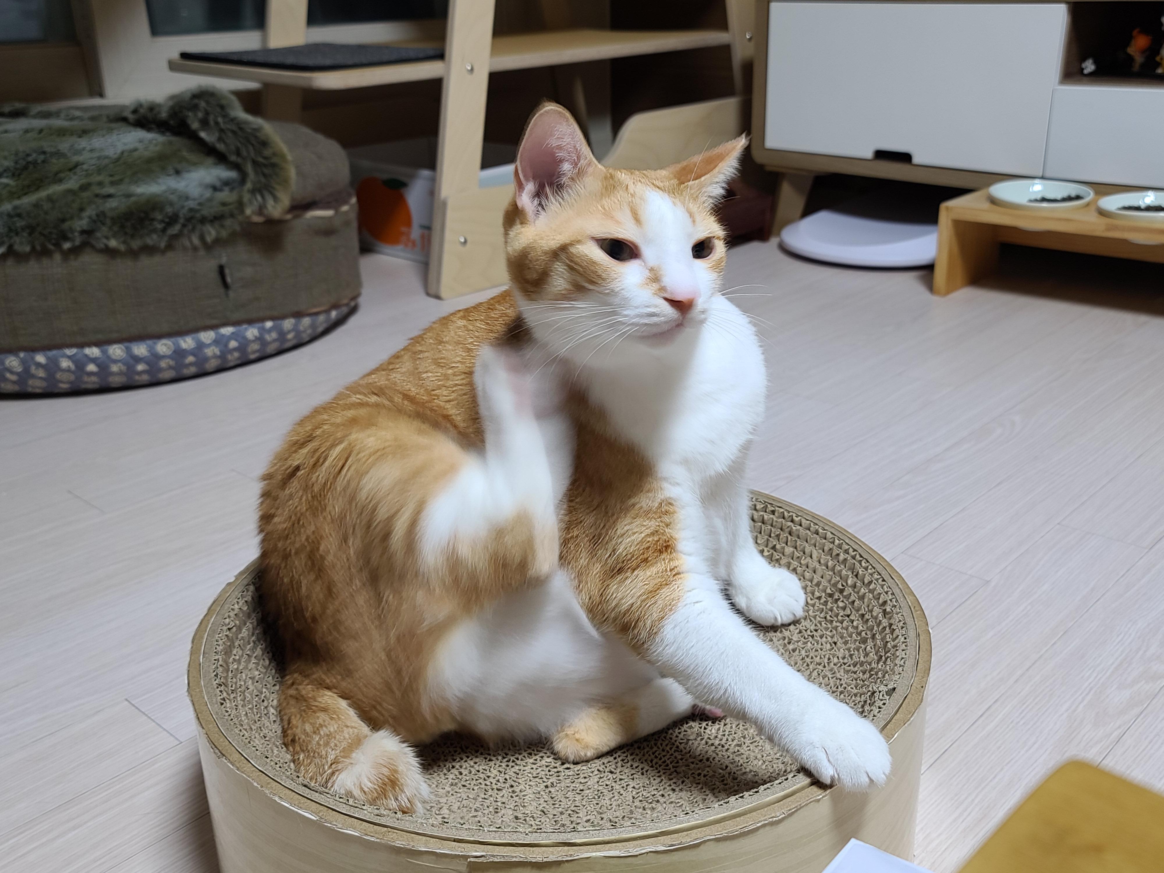 호야의 '동 to the 그 to the 라미' 스크래쳐 사용법.