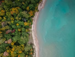개별공시지가 조회 토지 부동산 건물 개별공시지가 조회