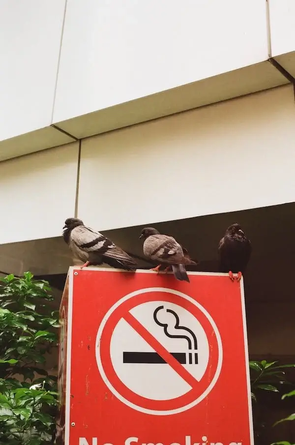 금단현상의 증상과 금단치료