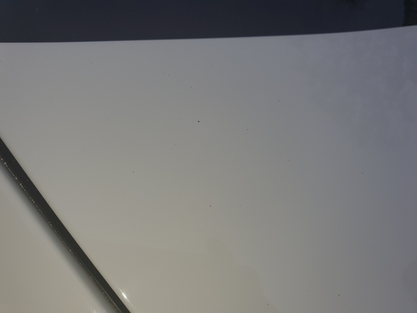 시공-후-타르모습