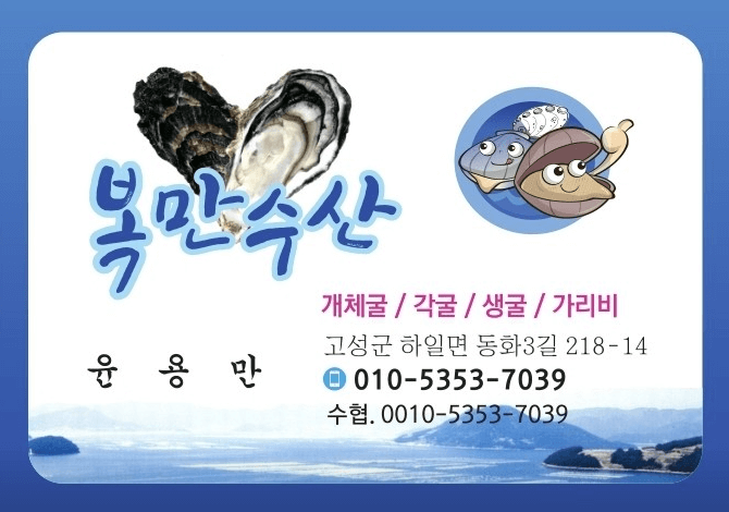 [6시 내고향] 고성 삼배체굴 여름굴 3배체굴 택배주문 판매 복만수산