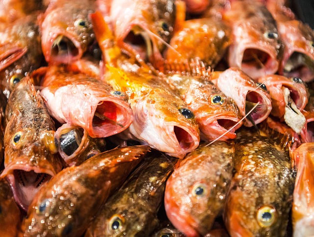 2025 온누리상품권 할인 달력｜25% 할인 시기 한눈에 정리