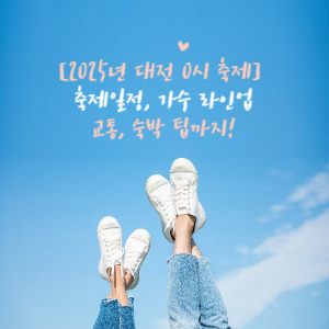대전0시 축제정보
