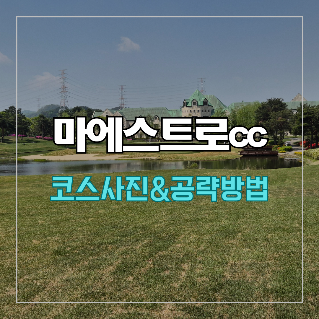 마에스트로cc 코스